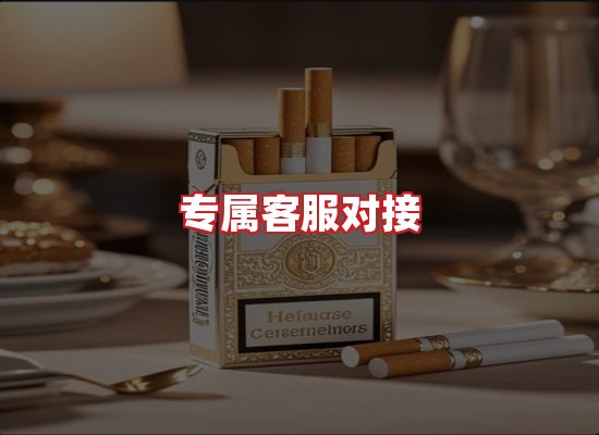 专业团队